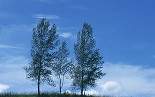 関連会社イメージ写真