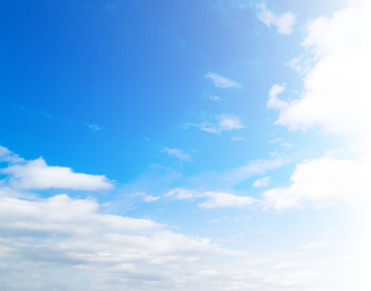 機能性表示食品